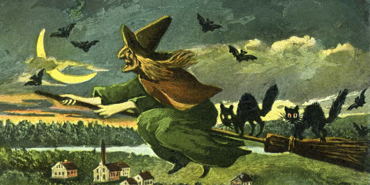 The Halloween Witch on her broom The Halloween Witch on her broom